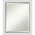 Amanti Art 19" x 23" Eva Narrow Framed Wall Mirror Silver : Modern Beveled, No Assembly Required