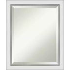 Amanti Art 19" x 23" Eva Narrow Framed Wall Mirror Silver : Modern Beveled, No Assembly Required